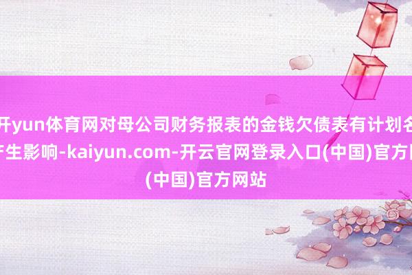 开yun体育网对母公司财务报表的金钱欠债表有计划名目产生影响-kaiyun.com-开云官网登录入口(中国)官方网站