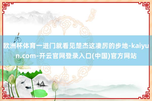 欧洲杯体育一进门就看见楚杰这凄厉的步地-kaiyun.com-开云官网登录入口(中国)官方网站