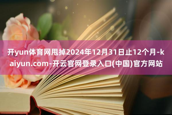开yun体育网甩掉2024年12月31日止12个月-kaiyun.com-开云官网登录入口(中国)官方网站