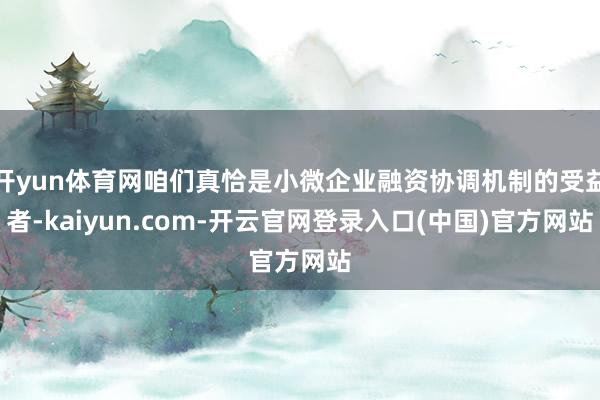 开yun体育网咱们真恰是小微企业融资协调机制的受益者-kaiyun.com-开云官网登录入口(中国)官方网站